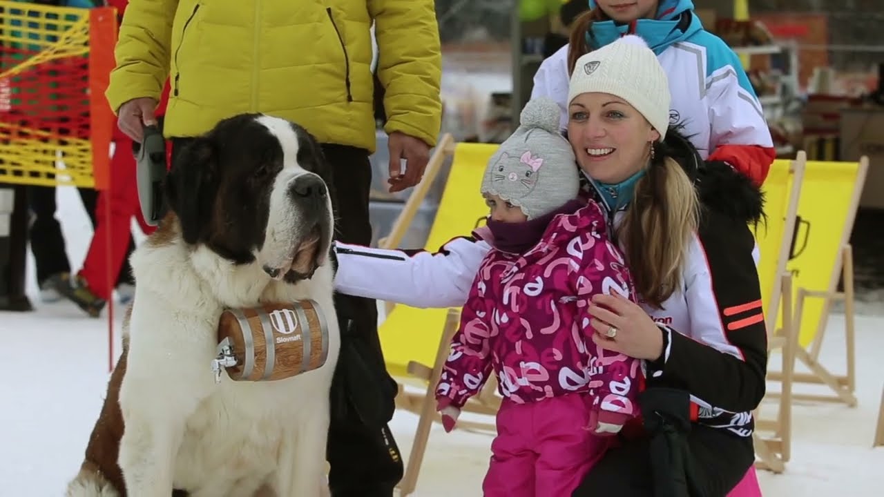 GATE | Slovnaft Roadshow - Štrbské pleso